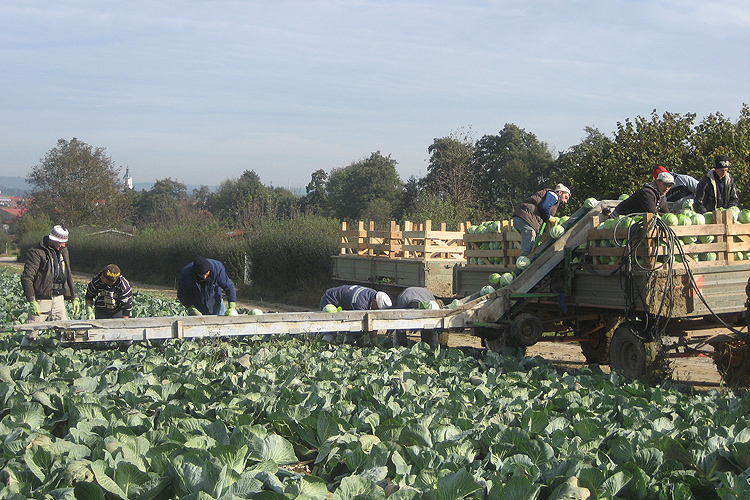 Verpacken